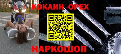 тгк Бийск