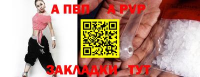 тгк Бийск