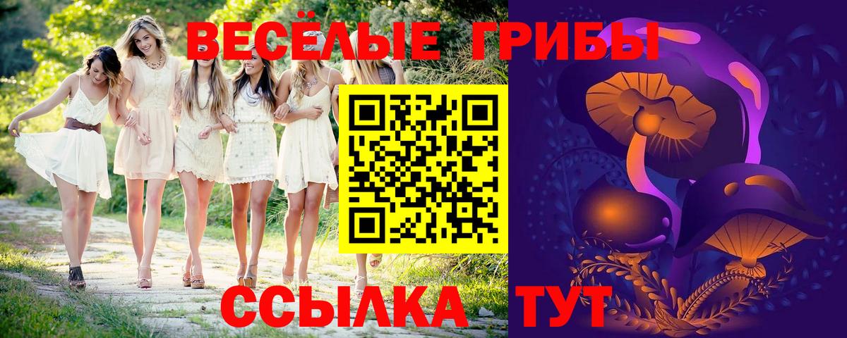 Псилоцибиновые грибы мухоморы  Вход с VPN  Керчь 